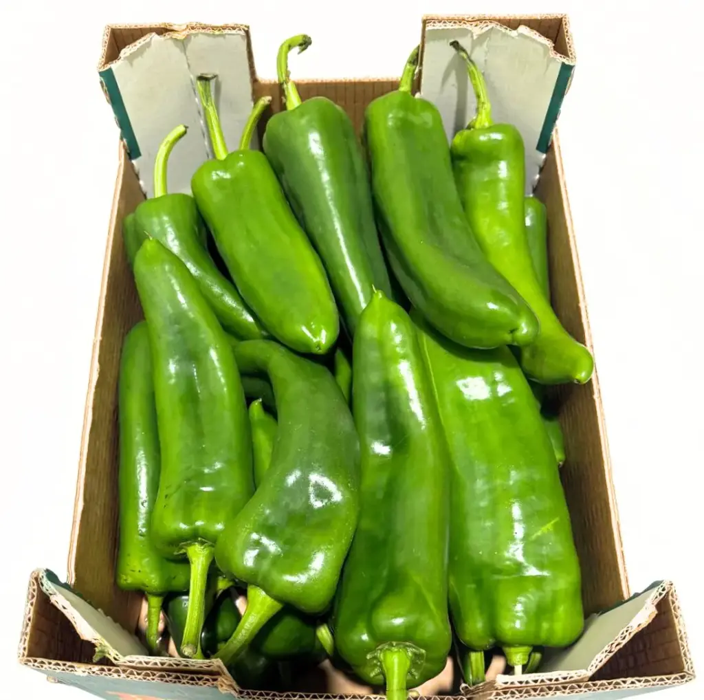 Poivron Vert Caisse 