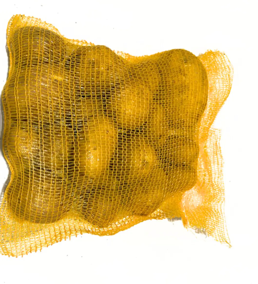 Bintje Pomme De Terre 