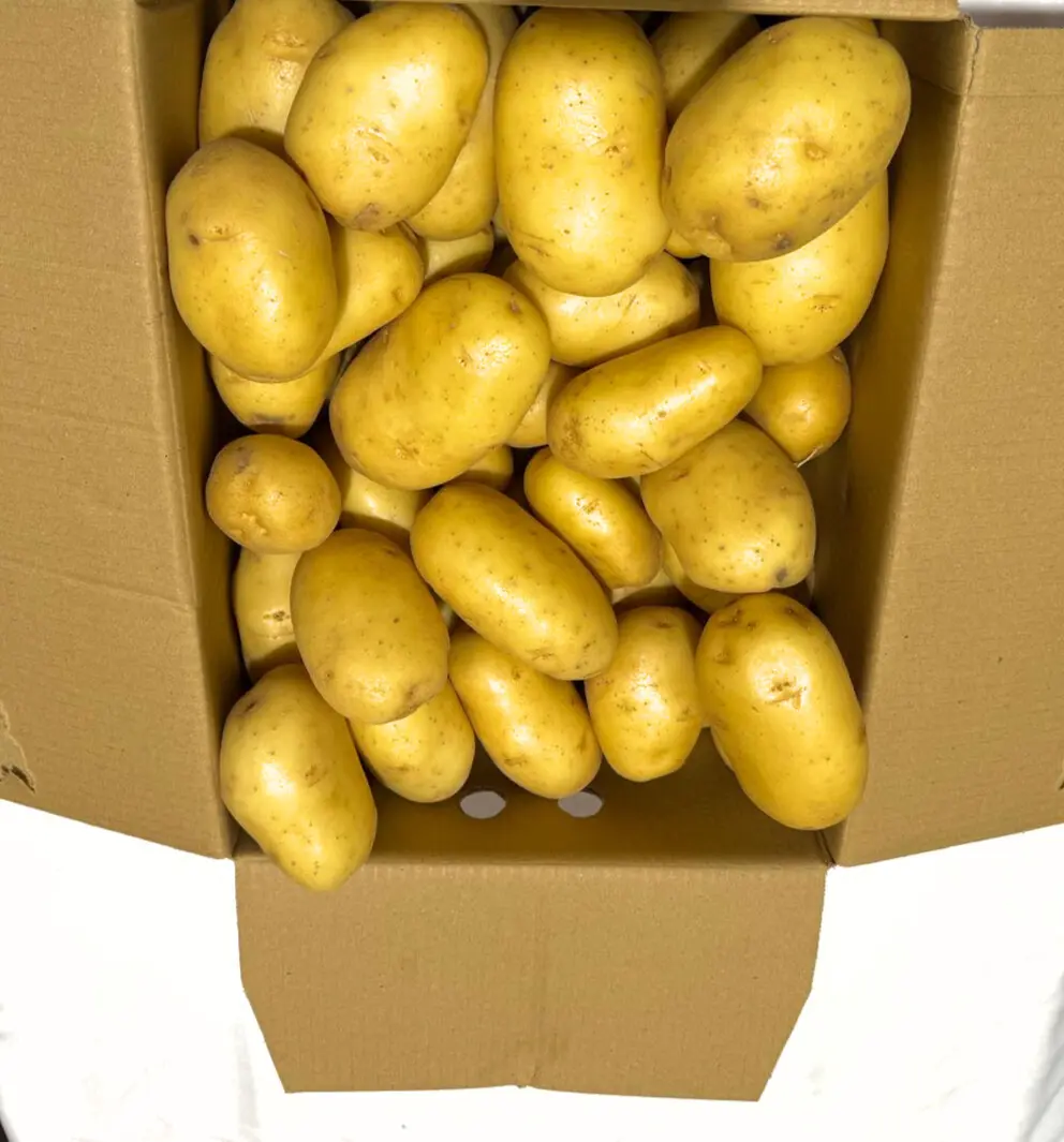 Agata Pomme De Terre Caisse 