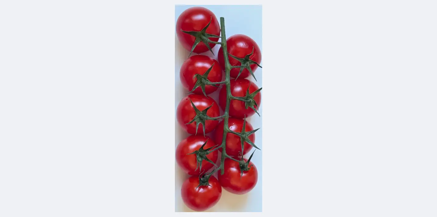 Tomate cerise grappe 